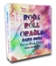 Rock and Roll Oracle Classic Rock Edition Self Published David Rosenhaus  - RRO