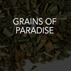 Grains of Paradise 