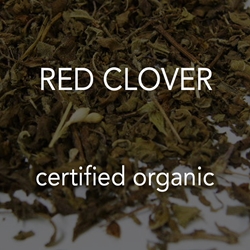 Clover, Red *co 