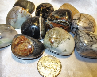 Jasper, Picasso Stone (Spider Web), Tumbled and Polished  