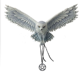 AWAKEN YOUR MAGIC Owl Plaque By Anne Stokes AWAKEN YOUR MAGIC Owl Plaque By Anne Stokes, Flying owl, Owl with pendant statue, white owl plaque