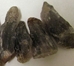 Super 7 (Melody's Stone) rough Healing Crystal - Super7