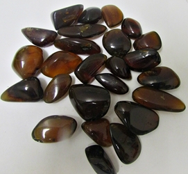 Natural Amber Pieces, Tumbled and Polished 