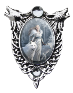 Anne Stokes Winter Guardians Cameo 