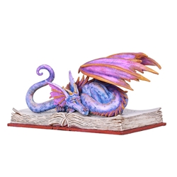BOOK WYRM Reading Dragon Statue by Amy Brown BOOK WYRM Reading Dragon Statue by Amy Brown