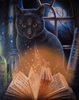 Bewitched Black Cat & Book of Shadows Canvas Art Print by Lisa Parker 