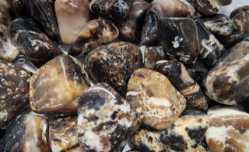 Chocolate Brown Opal, Tumbled and Polished  1'-1.5"    Green Opal, Tumbled and Polished  1'-1.5"  