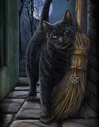 Brush with Magic Canvas Art Print by Lisa Parker Brush with Magic Canvas Art Print by Lisa Parker, black cat and broom, witches familiar