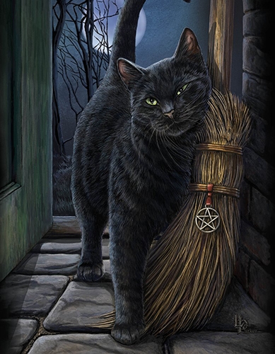 The Curious Black Cat Book of Magic Painting by Taiche Acrylic Art