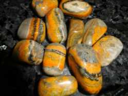 Bumble Bee Jasper, Tumbled and Polished 1.5"-2" Bumble Bee Jasper, Tumbled and Polished 1.5"-2", bumble bee jasper, large bumble bee jasper, bumblebee jasper
