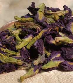 Butterfly Pea Flower 