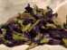 Butterfly Pea Flower - HRB-BPF-FLW