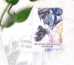 Continue to Grow Oracle Healing Deck Inspirational Affirmations by Brittani Zahourek - CTG-ORC
