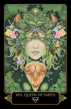 Dreams of Gaia Tarot Deck and Book Set, full sized Dreams of Gaia Tarot Deck and Book Set, full sized