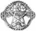 Dryad Designs Sterling Silver Cut Tree Pentacle Ring - TRI0061