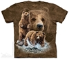 Find 10 Brown Bears 3482 