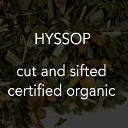 Hyssop c/s *co 
