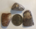 Jasper, Leopardskin, Tumbled and Polished, 1"-1 3/4"  - TPLSJ