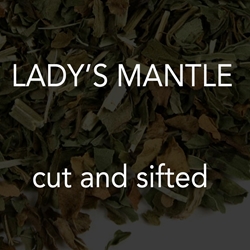 Lady’s Mantle c/s 