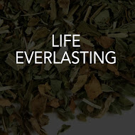 Life Everlasting 