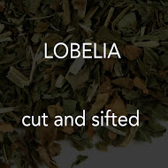 Lobelia c/s 
