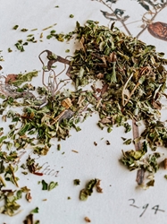 Minthe Herbal Tea by Artemis Teas   