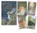 Mystical Cat Tarot Deck and Book by Lunaea Weatherstone and Mickie Mueller - MCTD