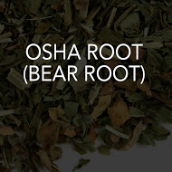 Osha Root (Bear Root) 