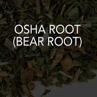 Osha Root (Bear Root) 
