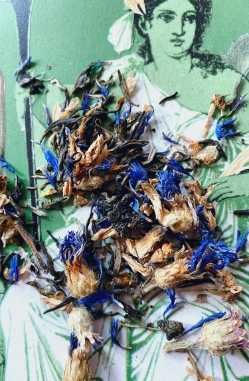 Persephone Herbal Tea by Artemis 
