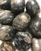 Que Sera Stone (Rhyolite) Tumbled and Polished about 1" Hard to find Tumbled and Polished Apple Green Gaspeite