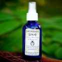 Shamans Dawn Empowerment Spray 