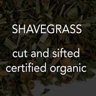 Shavegrass (Horsetail) c/s *co 