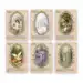 Sisters of the Fae Tarot Deck by Leah Shoman and Ashley Frost - SOF