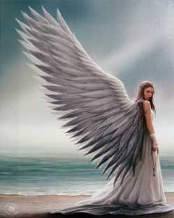 Spirit Guide Canvas Art Print by Anne Stokes Spirit Guide Canvas Art Print by Anne Stokes.Angel Print