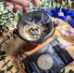 Spiritual Herb Mini Kit- 20 Ritual Herbs with Crystal Spoon by Holy Santo - HSH-KIT