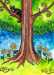 Tarot of the Trees Tarot Deck by Dana O'Driscoll - TTREES