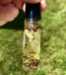 The Blackest Rose Money Oil - BRO-MO