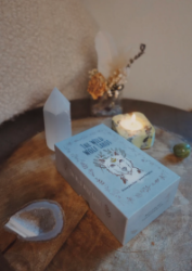 The Wild Wolf Tarot Deck by Briona Jolie Saas Small Press The Wild Wolf Tarot Deck by Briona Jolie Saas Small Press