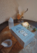 The Wild Wolf Tarot Deck by Briona Jolie Saas Small Press - WWT