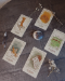 The Wild Wolf Tarot Deck by Briona Jolie Saas Small Press - WWT