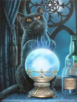 Witches Apprentice Black Cat Canvas Art Print by Lisa Parker  Witches Apprentice Black Cat Canvas Art Print by Lisa Parker, black cat print, witch familiar