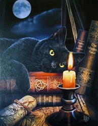Witching Hour Canvas Art Print by Lisa Parker 