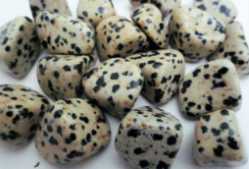 Jasper, Dalmatian, Tumbled and Polished 