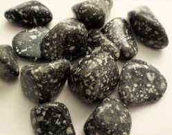 Jasper, Guinea Fowl, Tumbled and Polished 