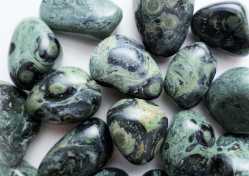 Jasper, kambaba, Tumbled and Polished 