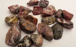 Jasper, Leopard Skin, Tumbled and Polished  