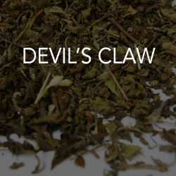 Devil's Claw 
