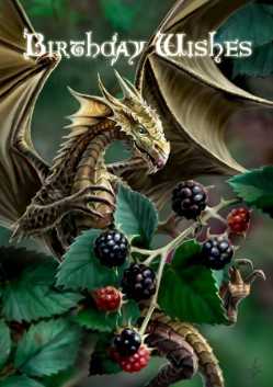 Blackberry Dragon Anne Stokes Birthday Card 