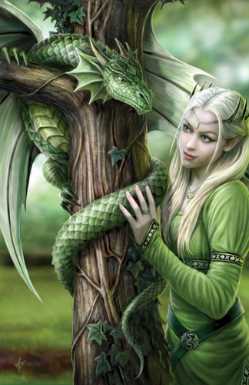 Anne Stokes Kindred Spirits Card 